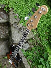 FLM Vintage Bass Gitarre Verkauf